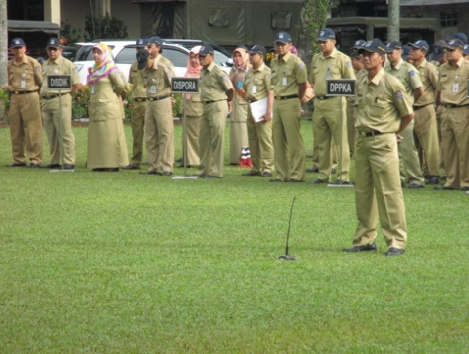 ASN Pemkot Depok