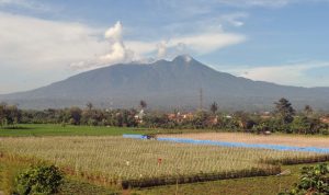 Gunung Salak Bogor